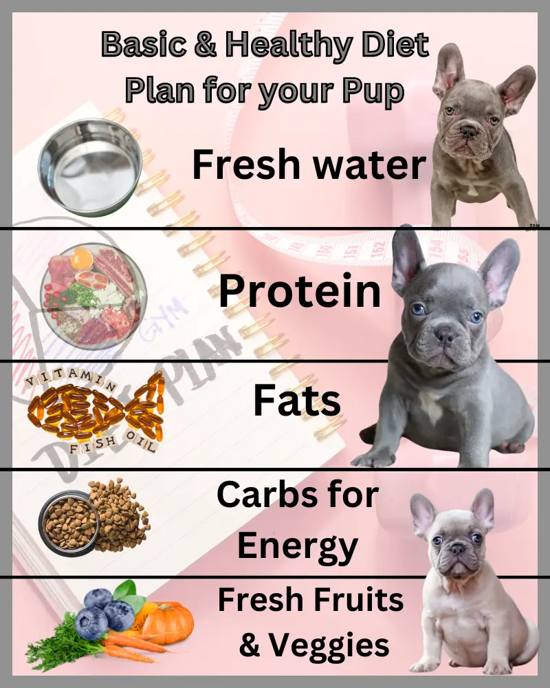 healthy diet plan for your pupy